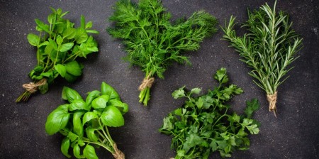 Astuces cuisson plancha - herbes aromatiques